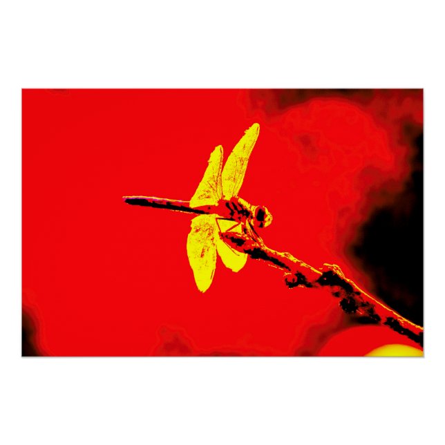 Pôster Asas Amarelas (Frente)