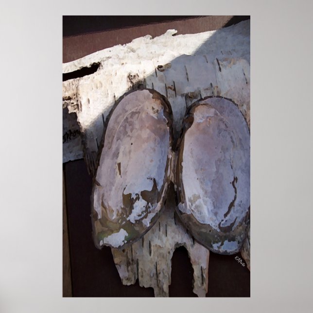 Pôster Asas Clamshell (Frente)