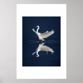 Poster Asas de rendas em azul