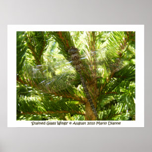 Pôster "Asas de vidro manchadas"