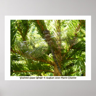 Pôster "Asas de vidro manchadas"