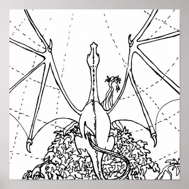 Poster - Asas Dragão (Frente)