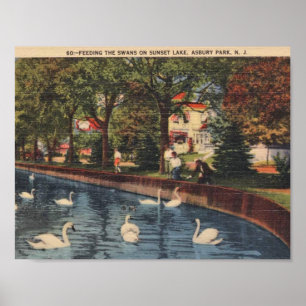 Poster Asbury Park, Nova Jersey, alimentando os Cisnes, 1