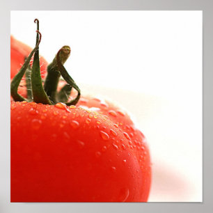 Poster ascendente próximo do tomate