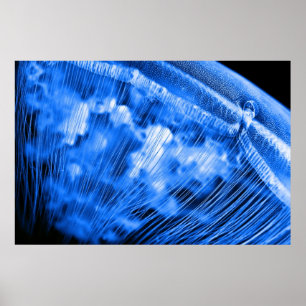 Poster Ascensão de Lua Azul