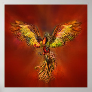 Poster Ascensão de Phoenix - céu vermelho