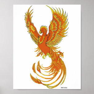 Poster Ascensão Phoenix