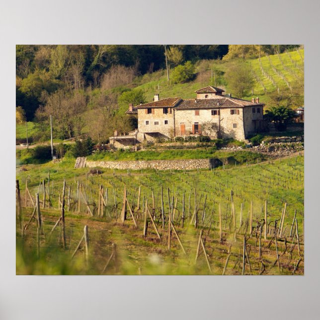 Poster Aschuito, uma fazenda de trabalho que aceita hóspe (Frente)