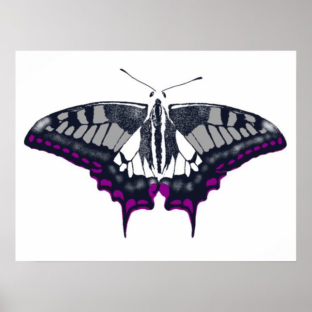 Poster Asexual Flag Swallowtail Butterfly (Frente)