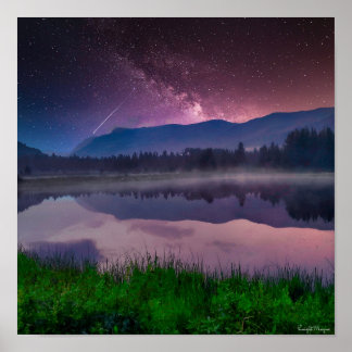 Poster Ashley National Forest