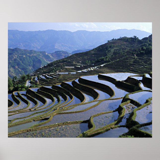 Pôster Ásia, China, Yunnan, Yuanyang. Dissipado (Frente)
