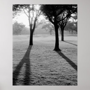 Pôster Ásia, Japão, Kumamoto. Sunrise sobre Kumamoto, j