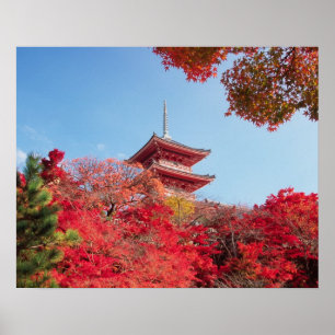 Pôster Ásia, Japão, Quioto. Cor de Outono