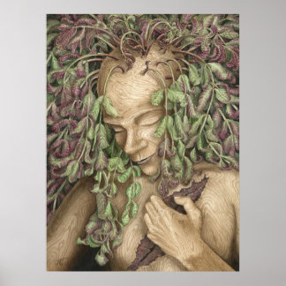 Poster Askr (dieback de cinza)