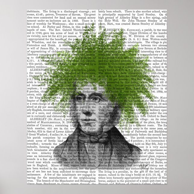 Poster Asparagus Fern Head Plant Head (Frente)