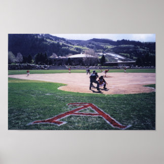 Poster Aspen Baseball