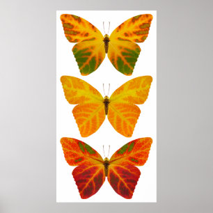 Poster Aspen Borboletas Folha
