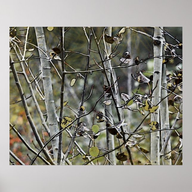 Pôster Aspen Forest (Frente)