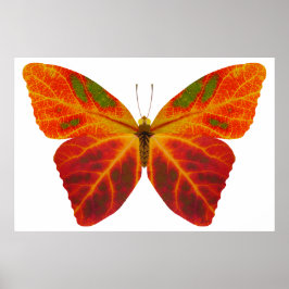 Poster Aspen Leaf Butterfly 2