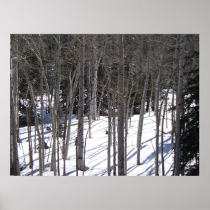 Poster Aspen na neve
