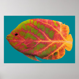 Pôster Aspen Peixe Tropical 1
