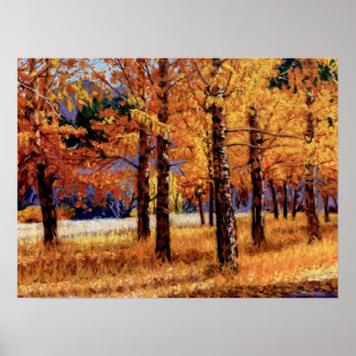 Poster Aspens of Colorado in Vibrant Autumn Splendor