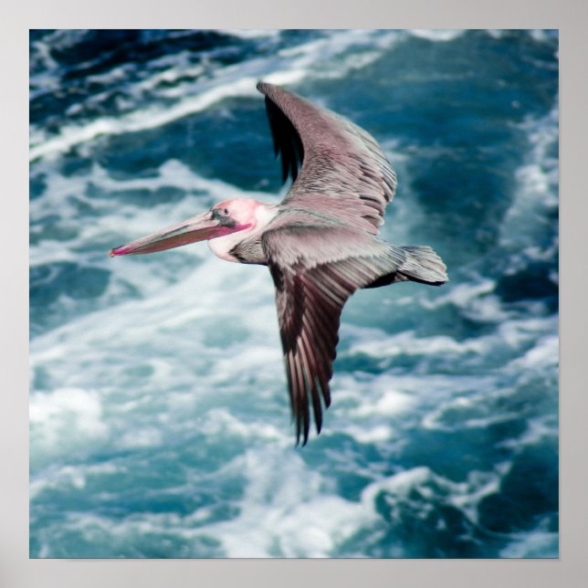 Pôster Aspiração (Frente)