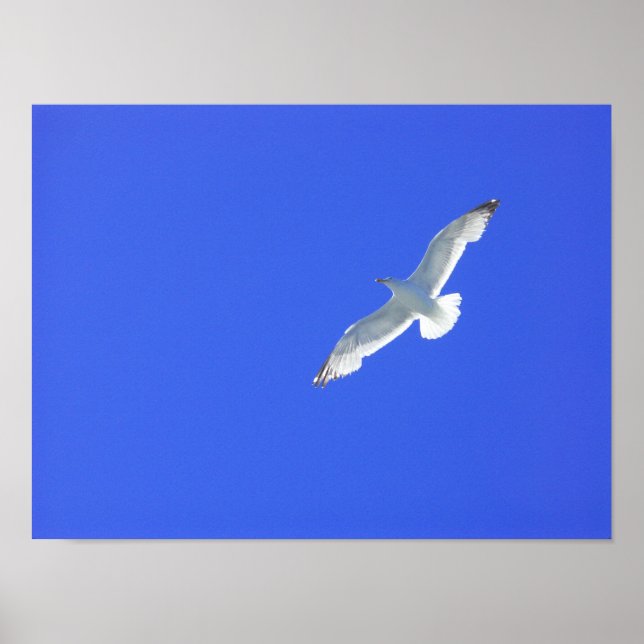 Poster Aspiração (Frente)