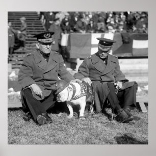 Poster Assentos do Bleacher: 1925