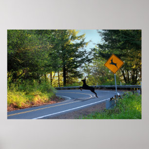 Poster Assista a Deer