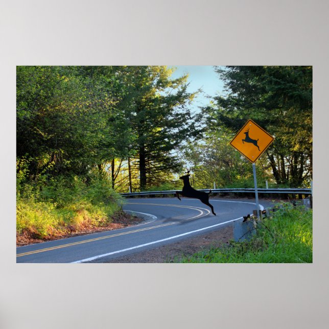 Poster Assista a Deer (Frente)