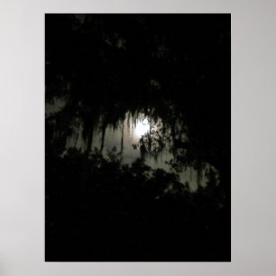 Poster Assombrando a Noite Escura