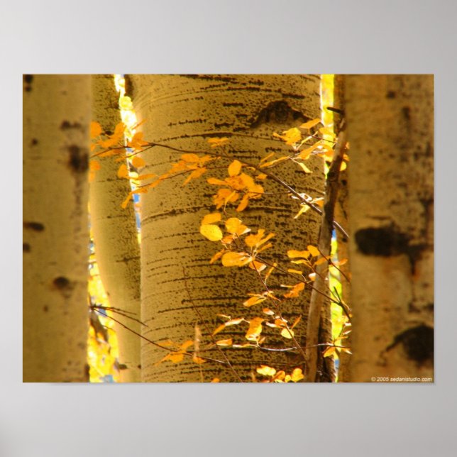 Pôster Assume o Fechamento (Frente)