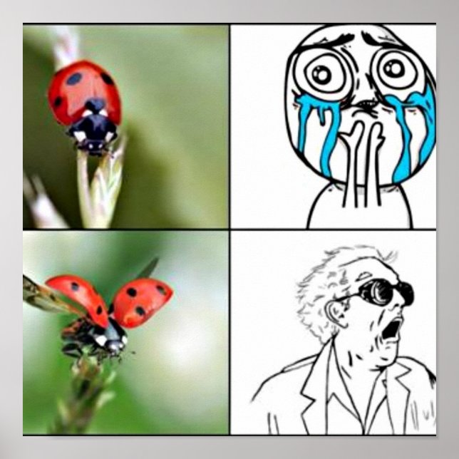 poster 'Assustado' (Frente)