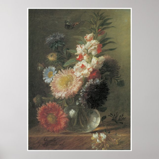 Poster Aster Chinês e Balsam num Vaso de Vidro, c.1830 (Frente)
