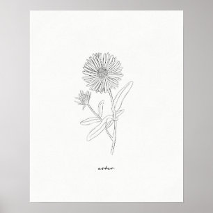 Poster Aster Line Drawing Print - Hand-drawn ink flower