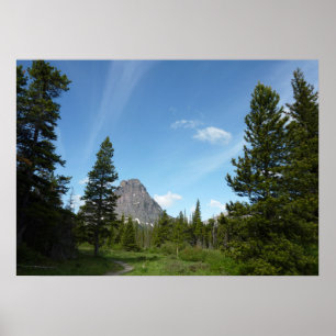 Pôster Aster Park Trail no Glacier National Park