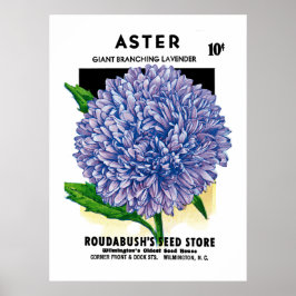 Poster Aster Vintage Seed Packet