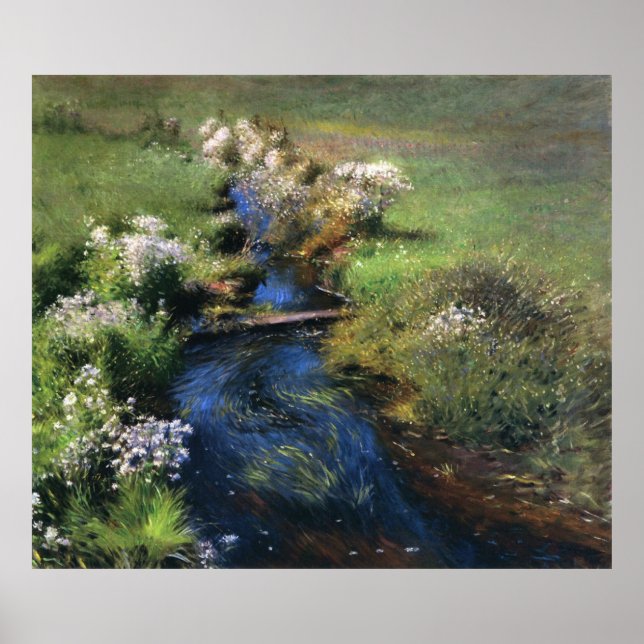 Pôster Asters selvagens de Dennis Miller Bunker (Frente)