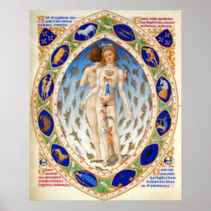 PÔSTER ASTROLOGIA ANTICA, MICROCOSMO E SINAIS ZODIACAIS