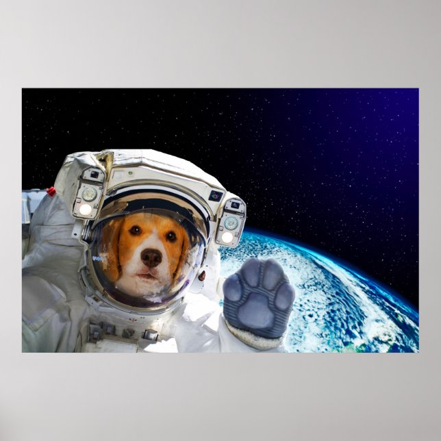 Poster Astronauta Cachorro Engraçado (Frente)