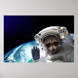 Poster Astronauta Engraçado Raccoon