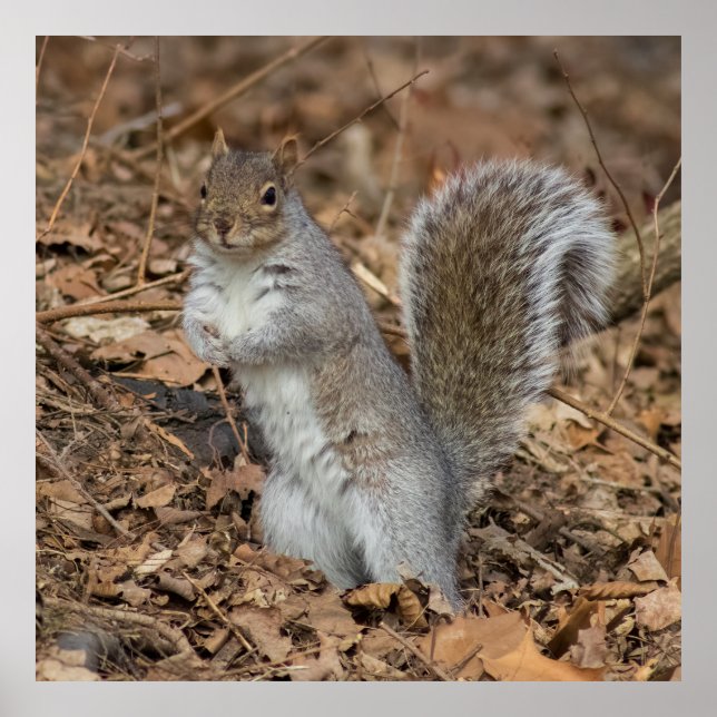 Poster At Attention (Frente)
