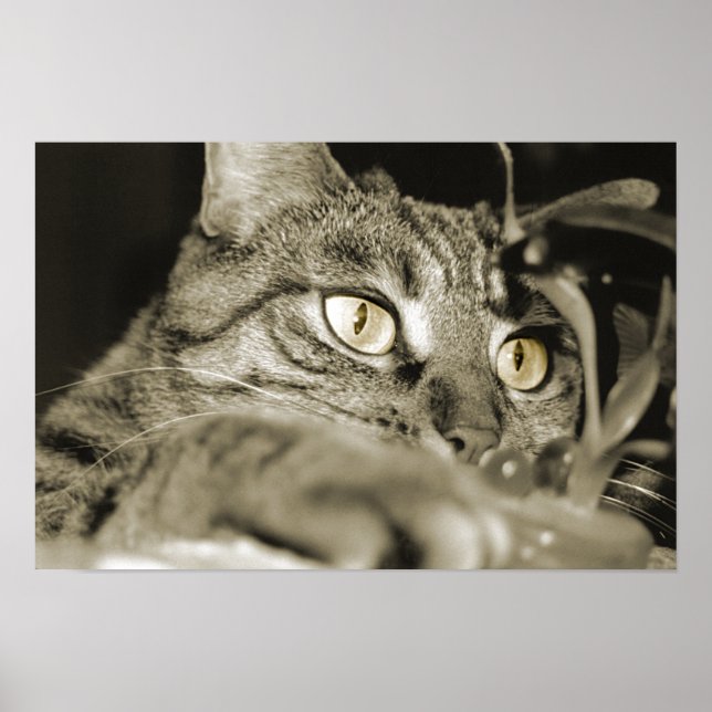 Pôster Ataque (Frente)