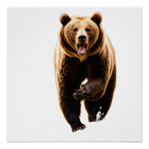 Pôster Ataque de urso-pardo a um homem pelas costas 8k em