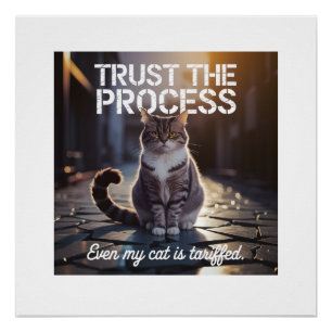 Pôster Até Meu Gato É Tarifado - Confie no Processo