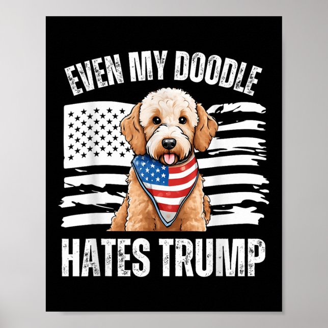 Poster Até Meu Ouro Odeia Trump Liberal Harris D (Frente)