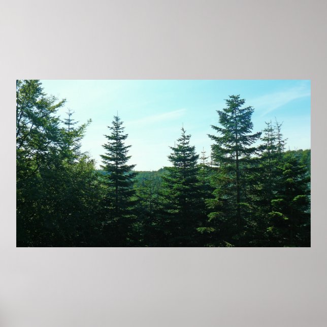 Pôster Até Onde O Olho Consegue Ver (Frente)