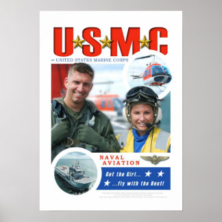 Pôster Aterrissagem HLT Blumenfeld