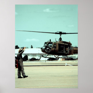 Poster Aterrissando a ave